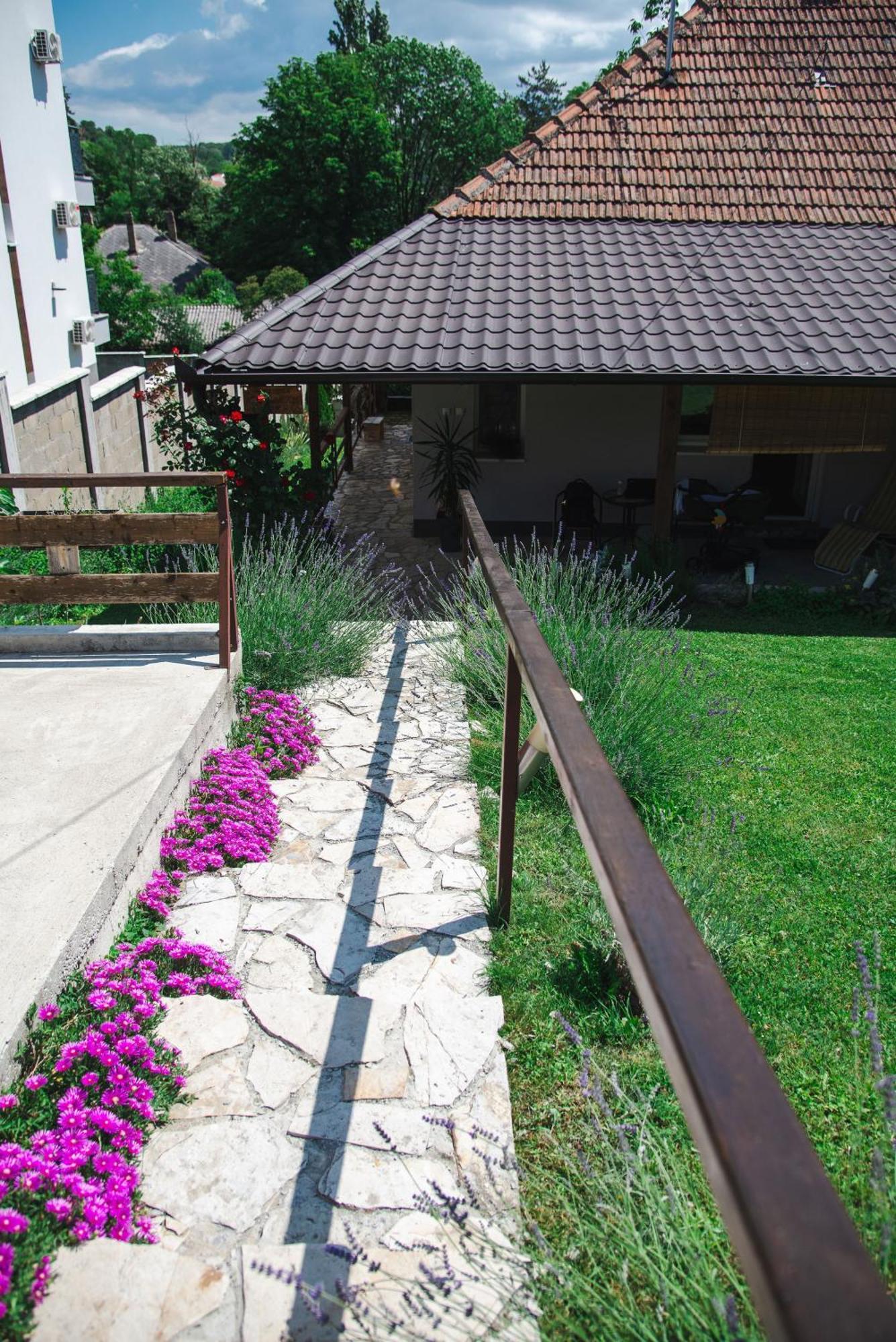 Apartmani Maslacak Vrdnik Ngoại thất bức ảnh